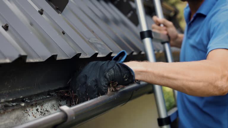 gutter cleaning near me