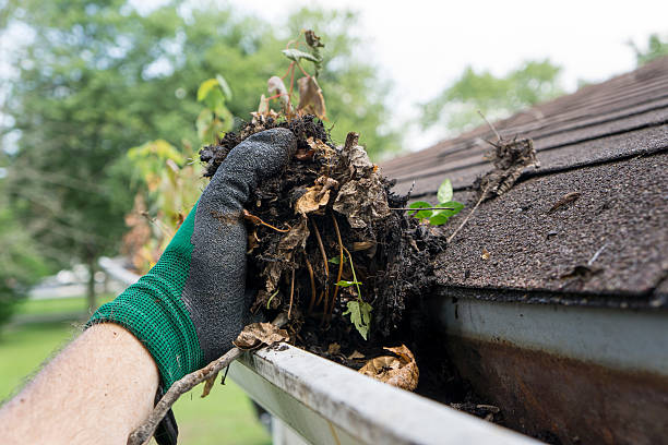gutter cleaning companies near me