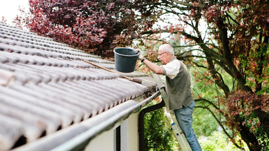 Gutter Cleaning Service
