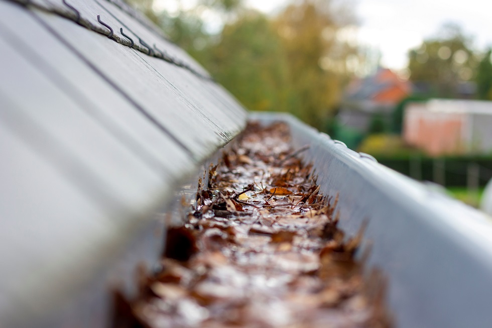 Gutter Cleaning Service