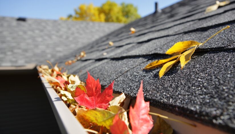 gutter cleaning near me