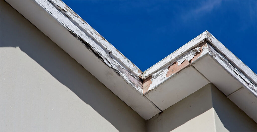 Gutter Repair Services