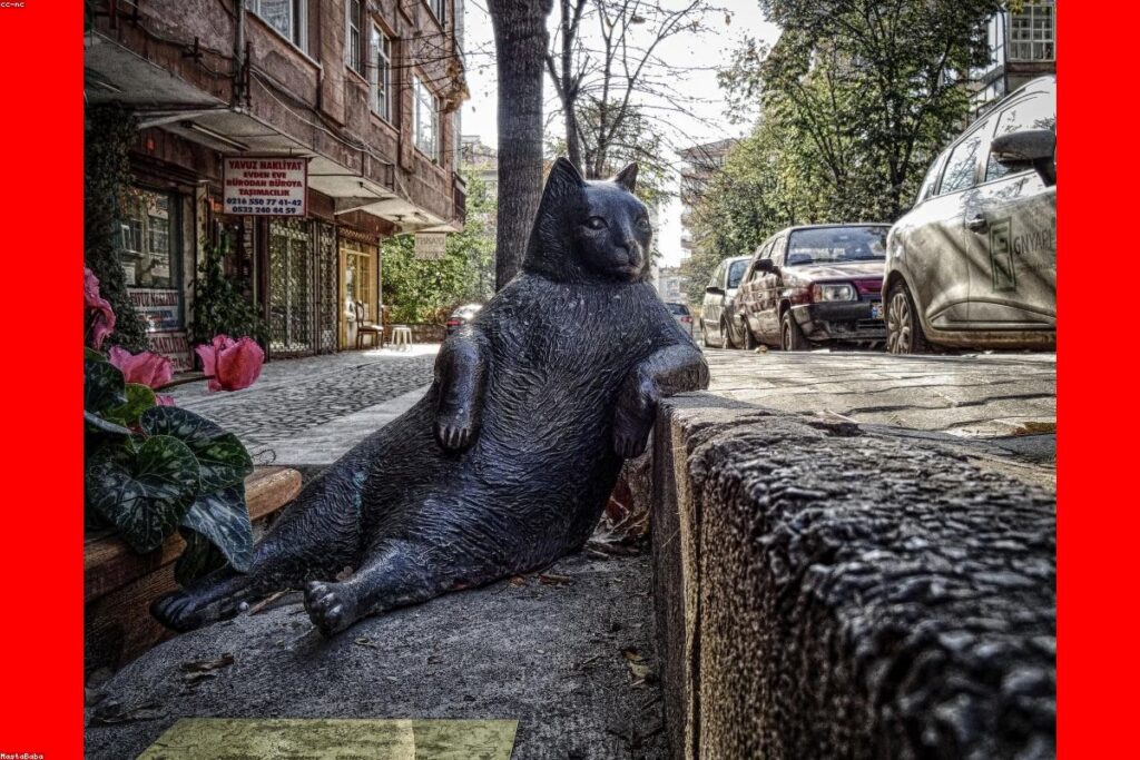 How to Identify Ice Dam Damage on Your Albany Home After Winter